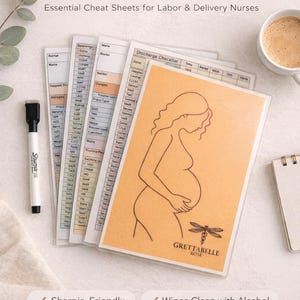 Reusable Report Sheets for Labor and Delivery Nurses