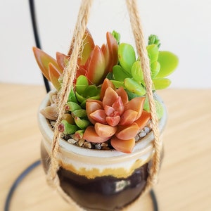 May include: A small ceramic planter with a two-tone brown and cream glaze, filled with a variety of green and orange succulents. The planter is suspended by a natural jute twine hanger and hangs from a thin black metal stand.