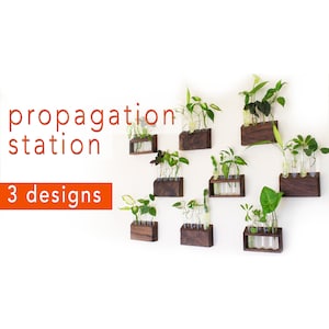 Vermehrungsstation Pläne | Holzbearbeitungsprojekt