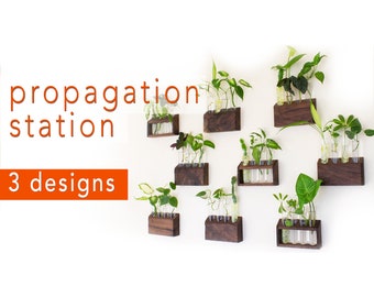 Propagation Station Plans | Woodworking Project