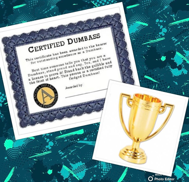 Certified Dumbass Award and Certificat - Etsy