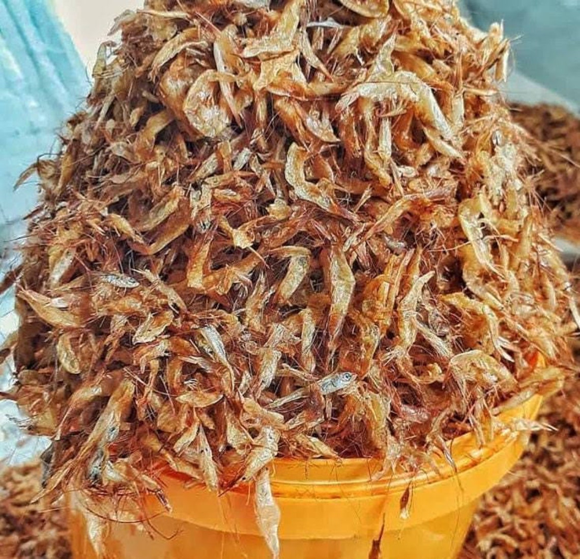 Crayfish 55 Grams Etsy