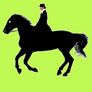 Side Saddle Png, Sidesaddle SVG, Horse, Sublimation Design Transfer, Aside, canter, black, horse Print And Cut Design File