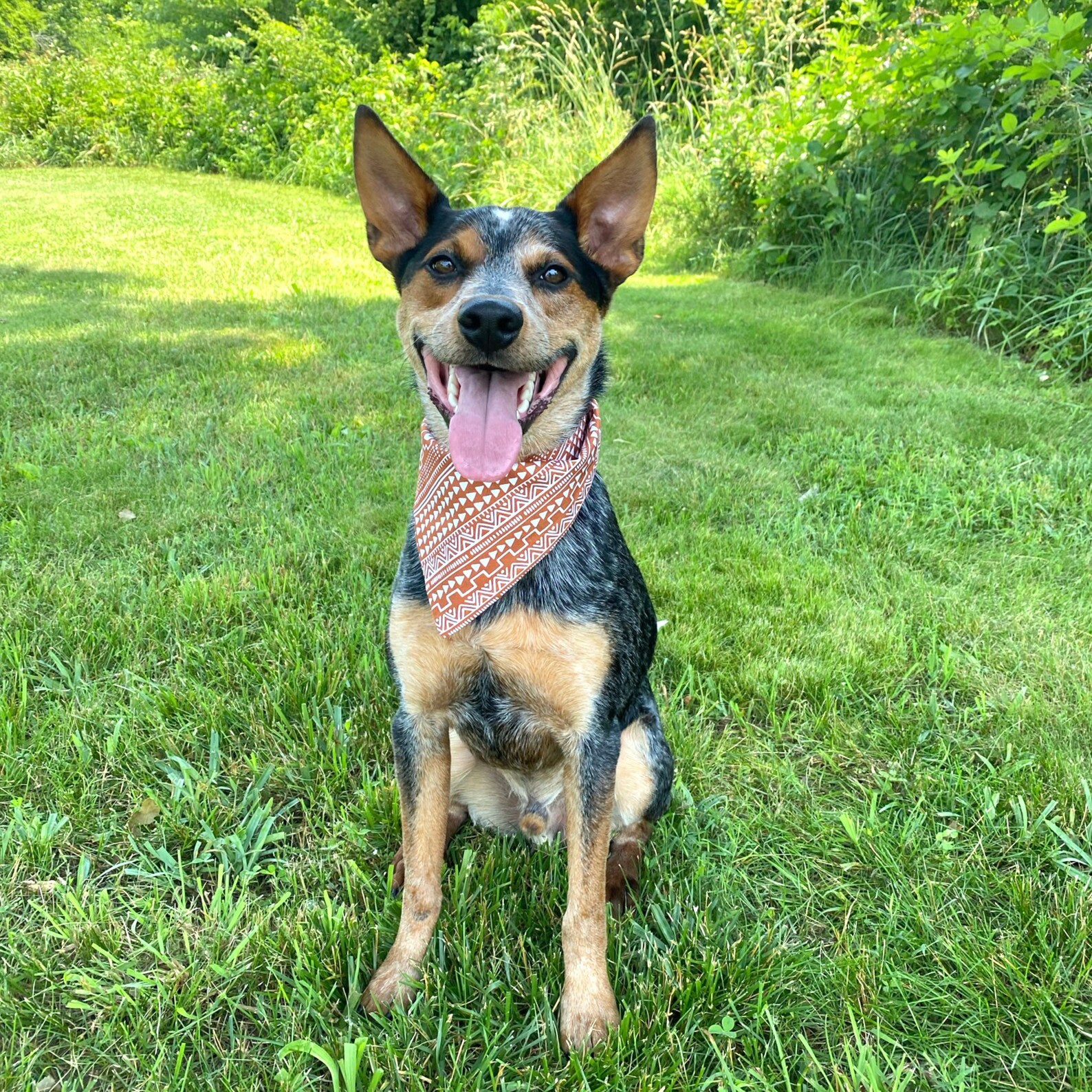 Azteken Schlamm Tuch Hund Bandana Etsy