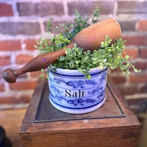 May include: A blue and white ceramic salt container with a wooden pestle and green leafy plants inside. The container has a blue and white floral design and the word "Salt" written in black.
