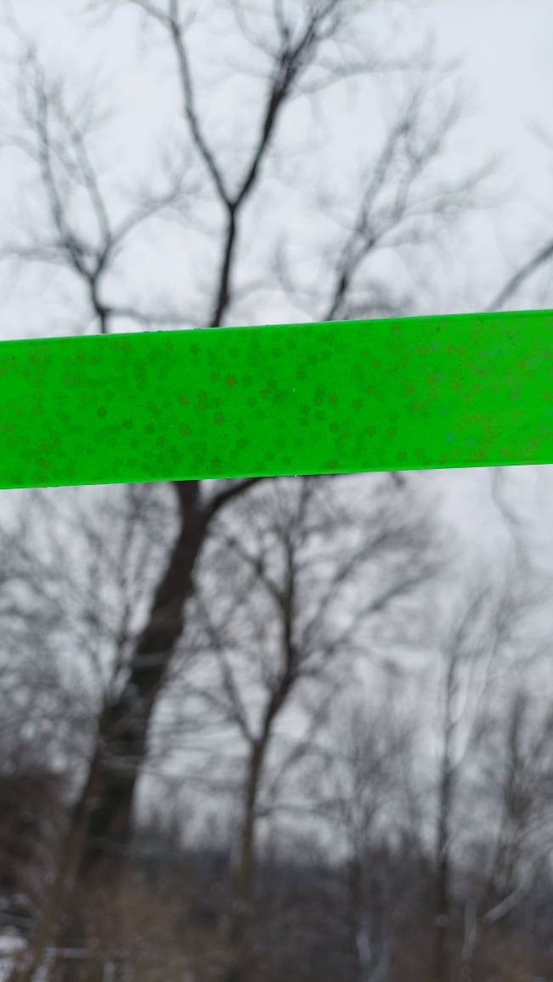 Pretty Resin Neon Green License Plate Frame For Women Bright Etsy