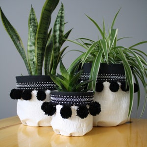 May include: Three white planter pots with black trim and black pom-poms around the top. The pots are filled with green plants.