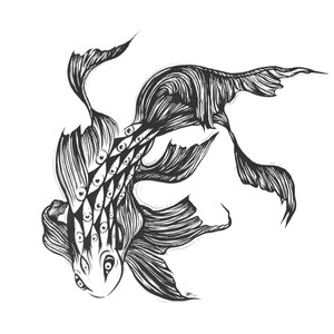 Eye Fish print 8inx6in