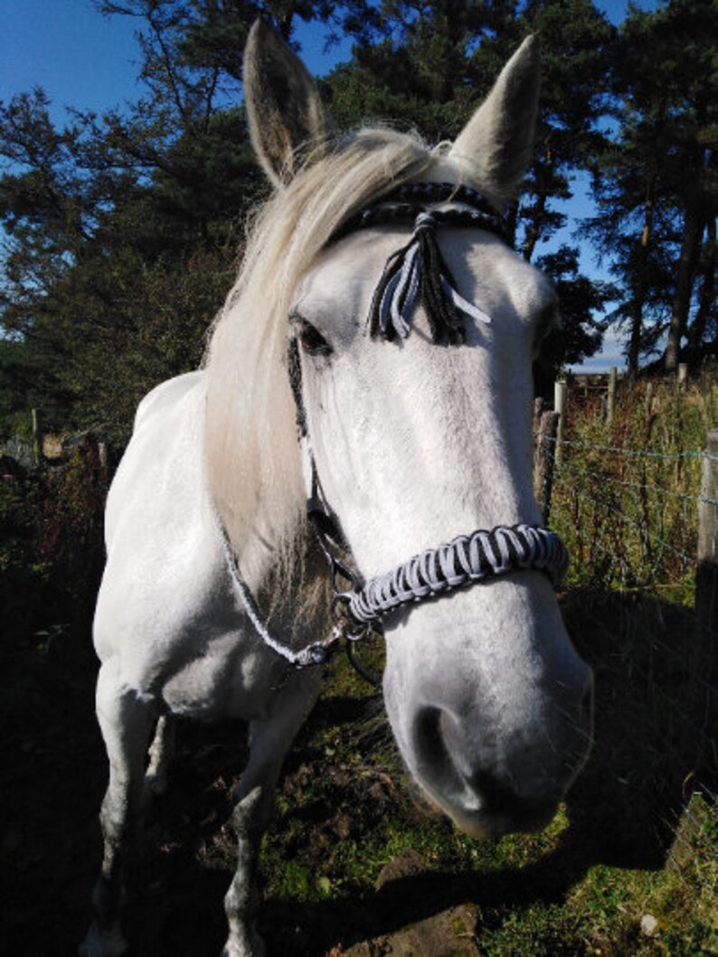 Black & silver VEGAN! bitless sidepull bridle- Super adjustable, perfect fit buckyou bridle and reins