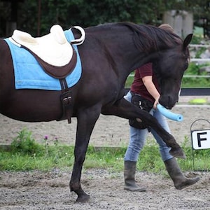 BuckYou HY.PE Shimmed bareback treeless English style saddle Cream and Brown