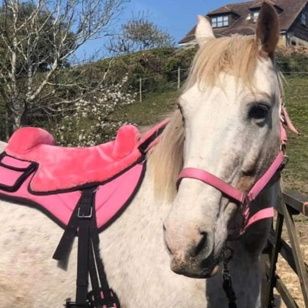 BuckYou Western /Iberan style HY.PE treeless saddle pad brown, black. pink  or purple!