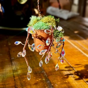 Sun Catcher Forever Succulent, Kristallperlen Sukkulente, Pflanzen-Sonnenfänger für immer Sukkulente, Perlen Sukkulente