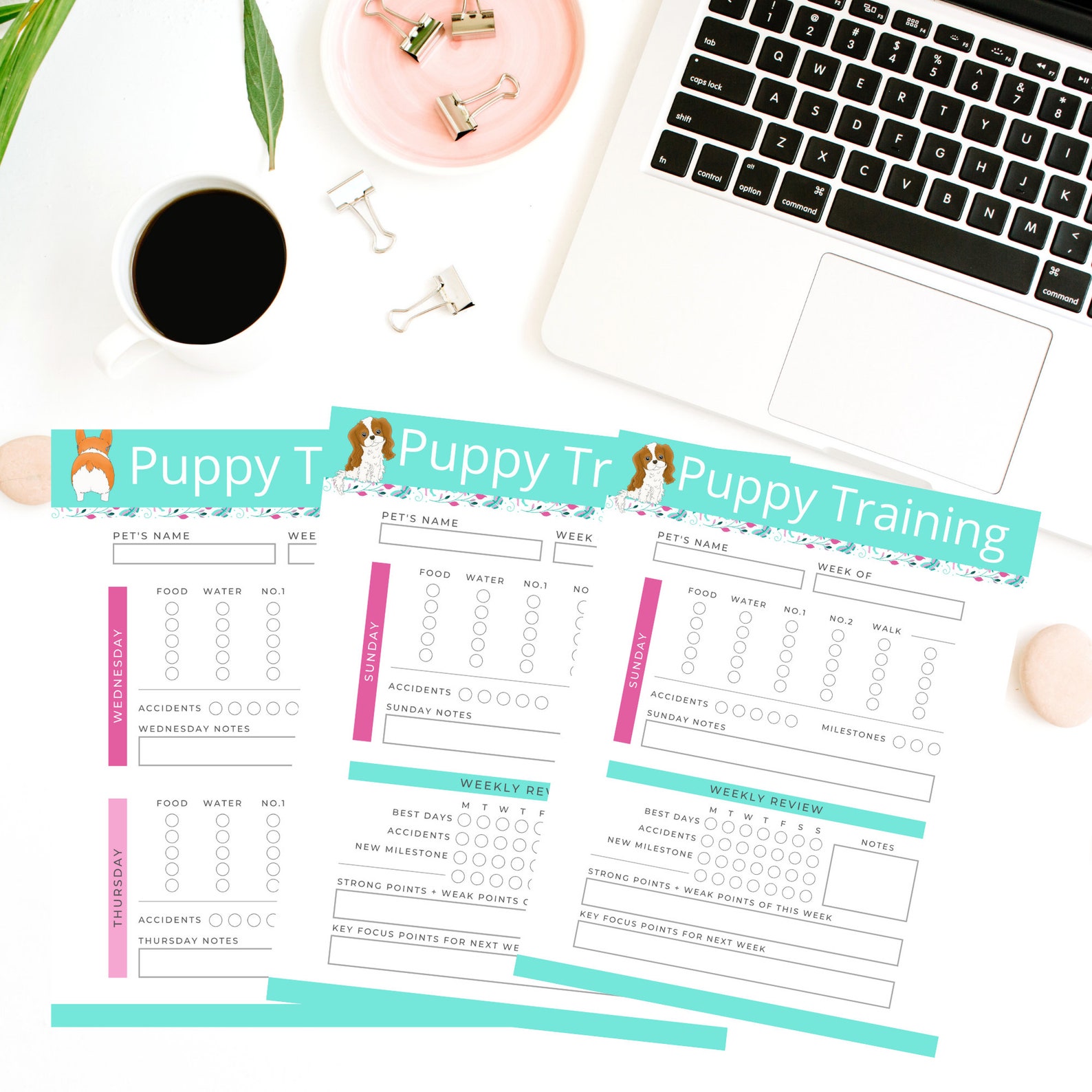Printable Pet Planner Bundle, Pet Care Sheets, Pet Sitter Notes, New ...