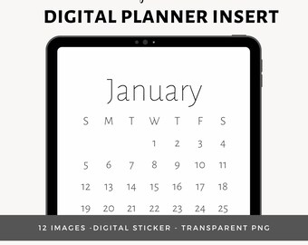 Inserciones para planificador digital mensual 2025 / 12 PNG transparentes / Adhesivos digitales