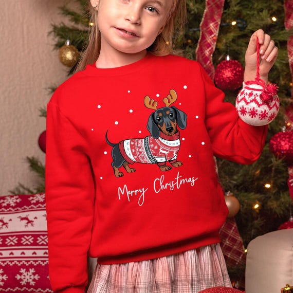 Womens Dog Lover Christmas Gift, Festive Holiday Sweater...