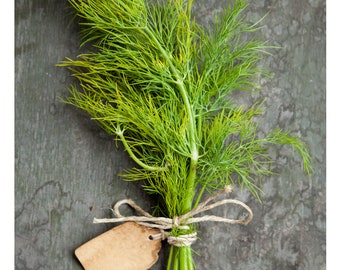 May include: A bundle of fresh fennel, tied with twine and a blank tag, against a rustic gray background. The text "FENNEL" is at the top, and "RELAX" is at the bottom. The fennel is bright green.