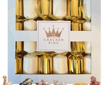 6 Galletas navideñas de dinosaurios de esteatita - British Fossils - Galletas de oro y marfil