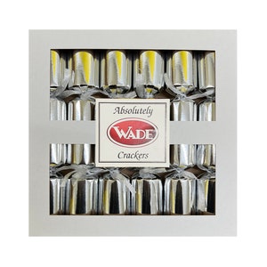 6 Absolutely Wade Bird Party/Christmas Crackers - Silver