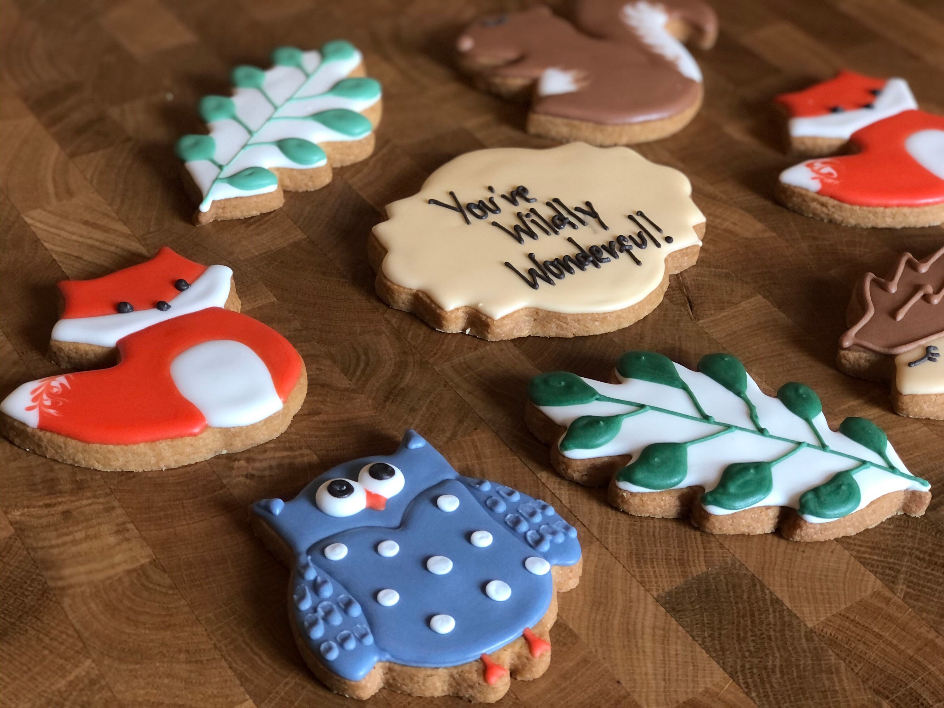 Wildlife Animal Cookie Box Made to Order Gift Iced Etsy UK