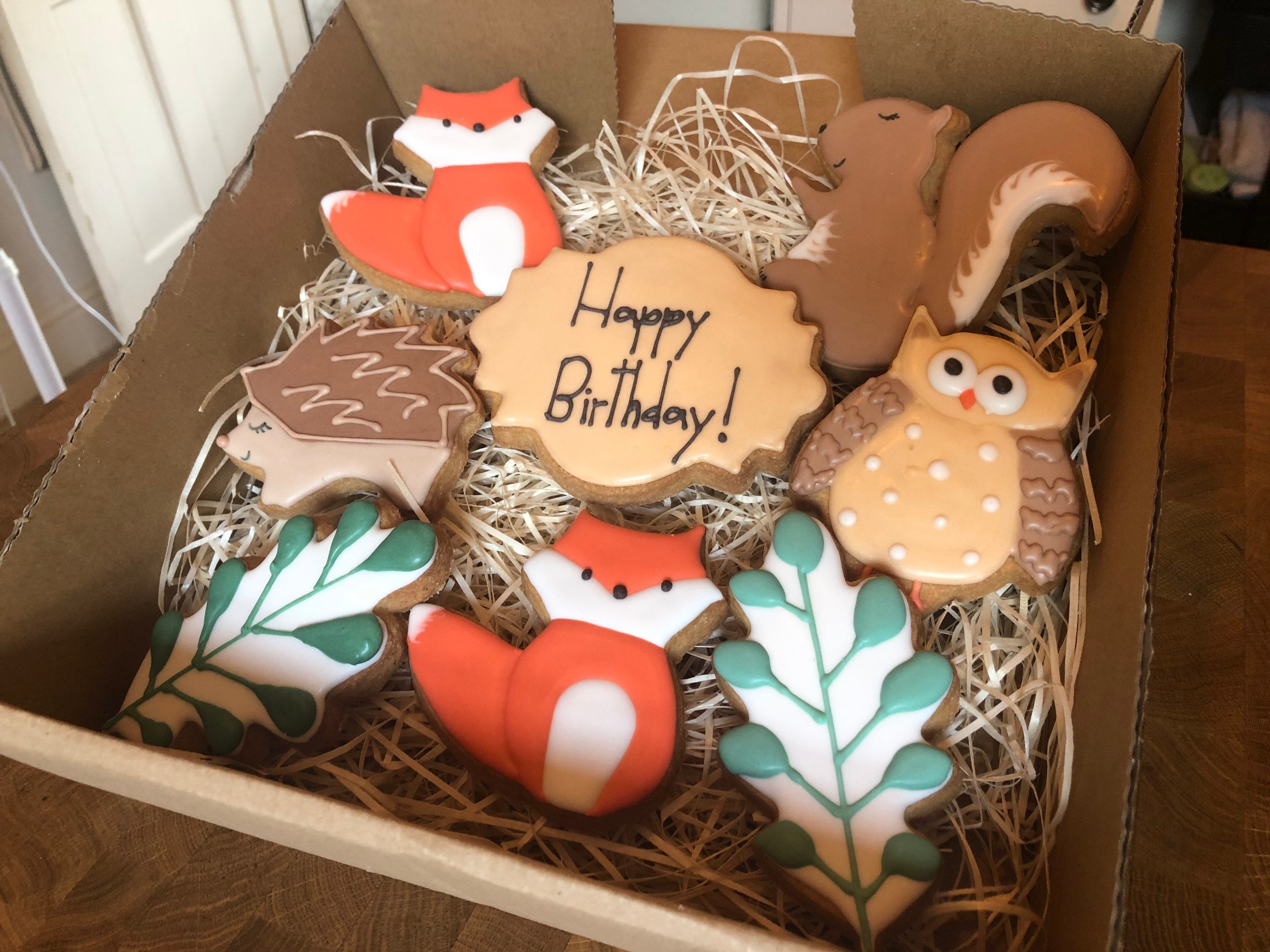 Wildlife Animal Cookie Box Made to Order Gift Iced Etsy UK