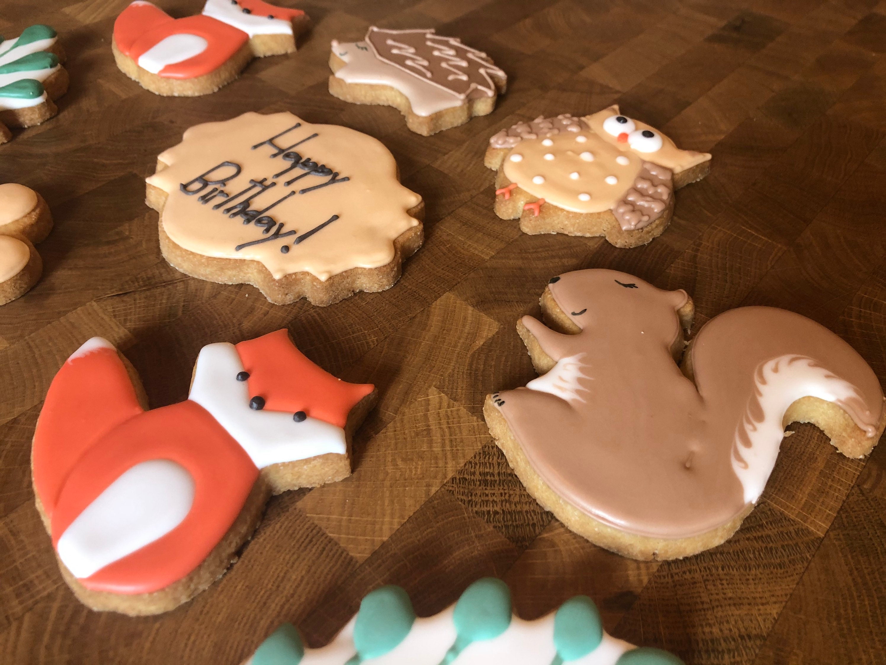 Wildlife Animal Cookie Box Made to Order Gift Iced Etsy UK