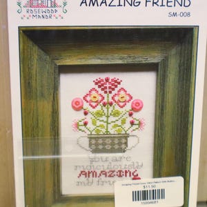 May include: Cross-stitch pattern kit titled "AMAZING FRIEND." The framed artwork features a floral design in pink, yellow, and green. The text "you are ridiculously AMAZING my friend" is stitched below the flowers. The kit includes a button.