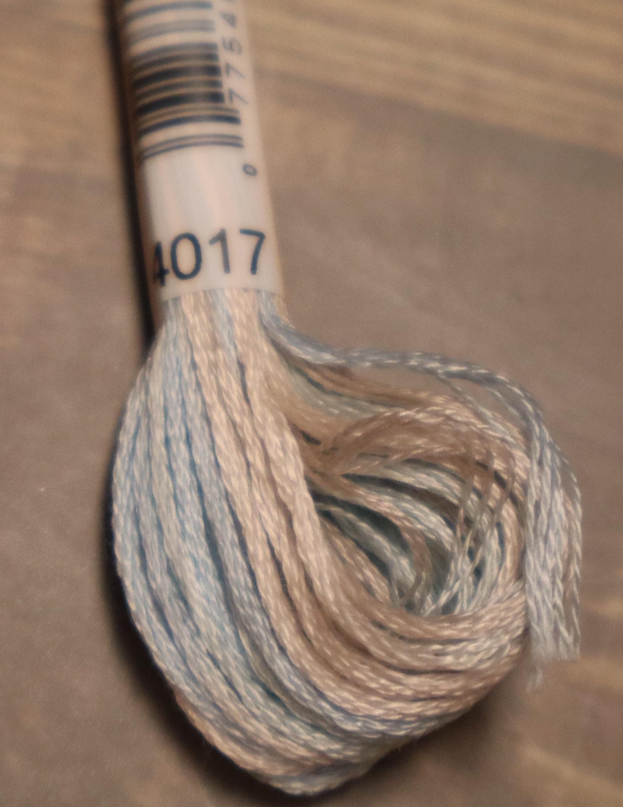 DMC 4017 Polar Ice Color Variations 8.7 Yard Skein - Etsy