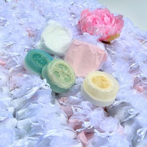 Loofah Soap Gift Box Variety Set | Loofah Soap Gift | Spa Gift Set | Exfoliating Natural Loofah Soap | Artisan Bar Soap Set | Loofah Gifts