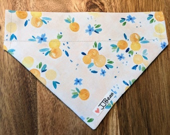Pet Bandanas - Mimosa Sunrise -Over the Collar - floral, orange, clementine, citrus, apricot, fruit, summer, bluebell, dog gift, pup, mimosa