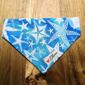 Pet Bandanas - Oakley -Over the Collar - vacation, palm tree, tropical, island, ocean, nature, beach, pool, resort, aquarium, starfish, blue