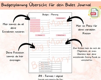 Budget planning, financial planning, monthly budget, budget planner, financial overview, budget binder, digital template, instant download
