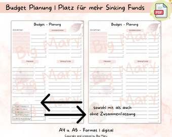 Budget planning, financial planning, monthly budget, budget planner, financial overview, budget binder, digital template, instant download