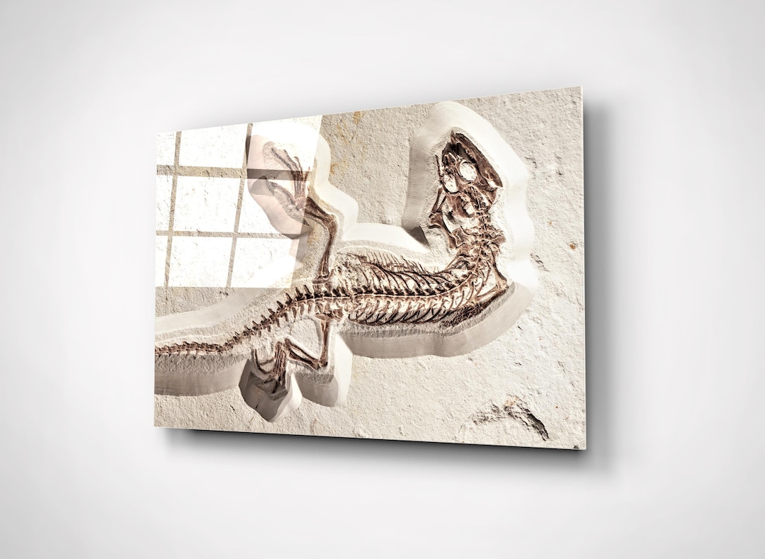 Ancient Dinosaur Fossil Wall Art Prehistoric Skeleton Print Etsy