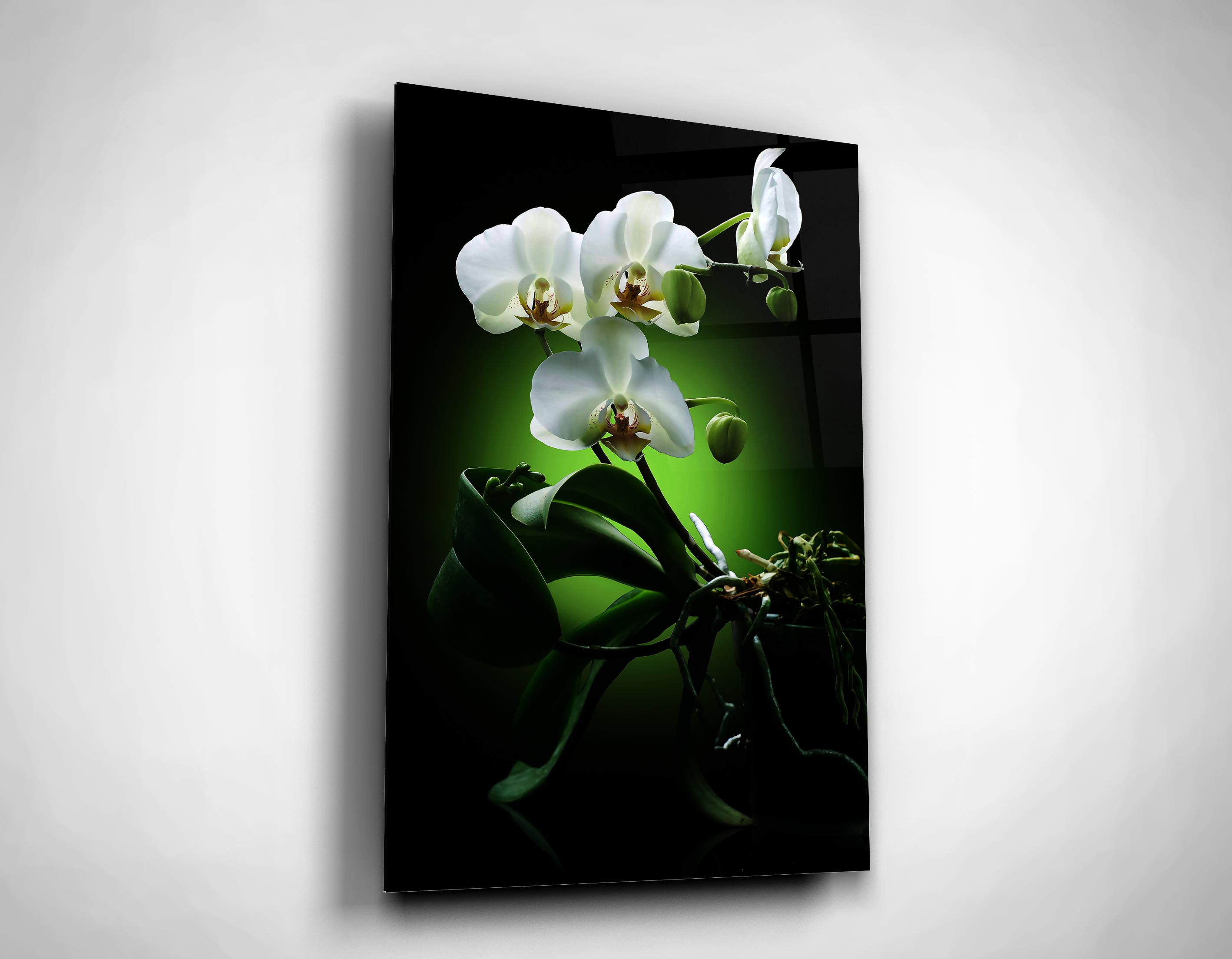 White Orchid Plant Wall Art Flowers Lover New Home Gift Decor Etsy