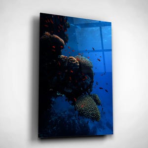 Coral Reef Wall Art, Marine Life Photography, Underwater World Glass Print, Christmas Gift, Nautical Room Decor