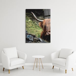 Highland Kuh in der Natur Wandkunst, Bauernhof Tiere Fotografie, Zottelkuh Druck auf Leinwand, Glas ländliche Bauernhaus Wanddekor