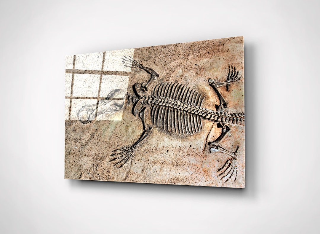 Dinosaur Fossil Wall Art Skeleton Print Glass Science Room Etsy