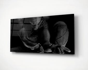 Art mural noir Spider Man, panorama sur verre, peinture panoramique, impression bandes dessinées Marvels, décoration de chambre parfaite pour garçons