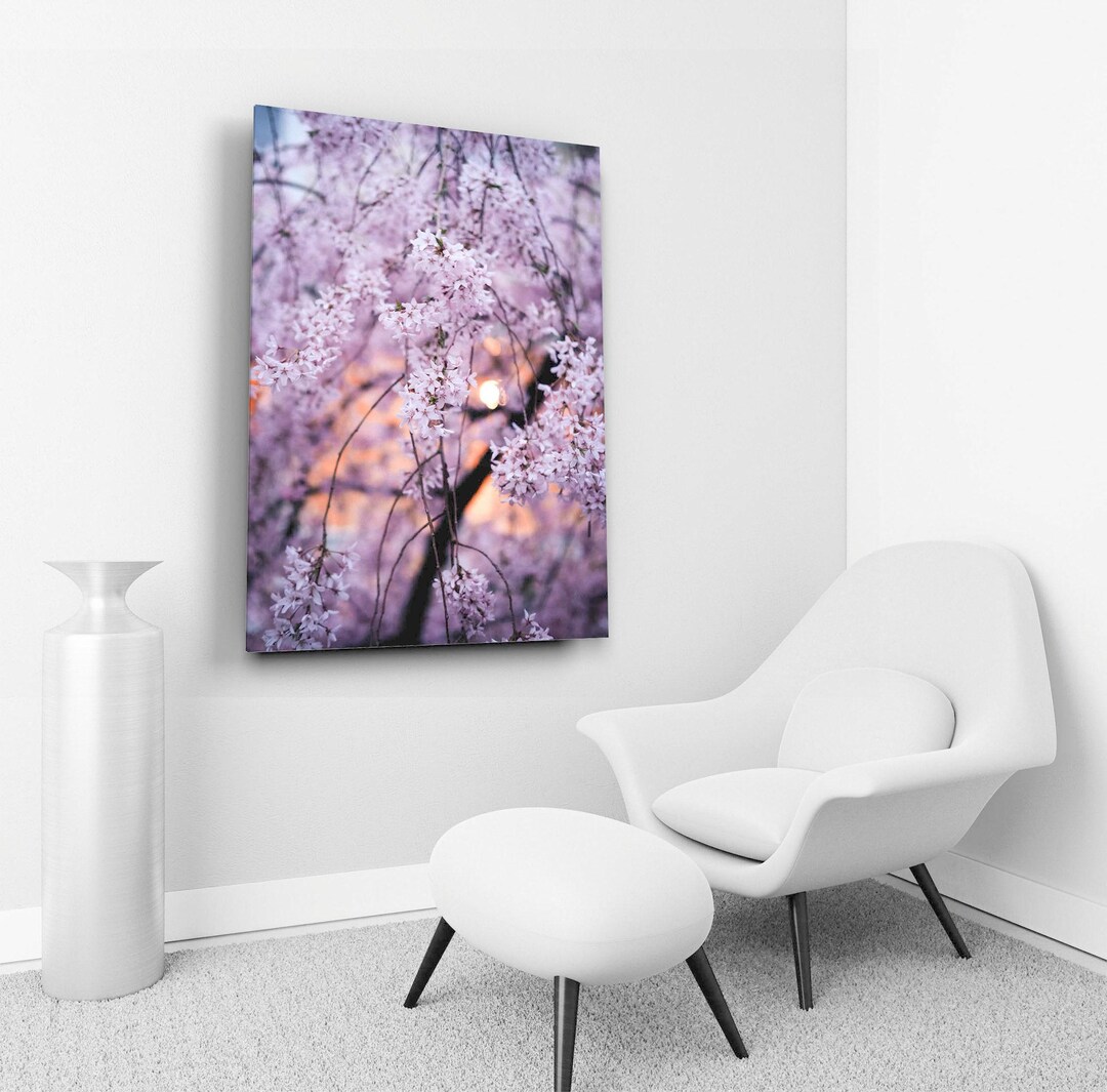 Japanese Cherry Blossom Tree Wall Art, Sakura Photography, Soft Pink ...