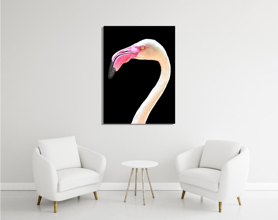 Flamingo Head Wall Art Savannah Nature Photography Tropical Etsy