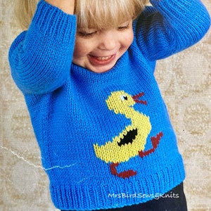 May include: A blue knitted sweater with a yellow duck design. The duck is walking and has a black eye and beak. The sweater has a round neckline and long sleeves.