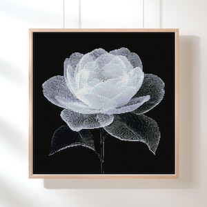 Weiße Rose Kreuzstichmuster | Eleganter Schwarzer Hintergrund Floral Stickdatei PDF