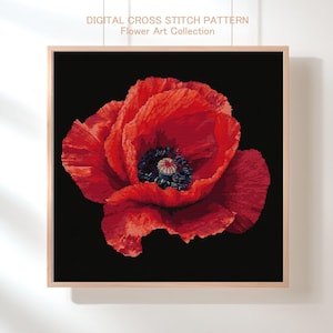 Op de afbeelding: Een ingelijst digitaal kruissteekpatroon met een levendige rode klaproos tegen een zwarte achtergrond. De klaproos heeft een donkerblauw hart en maakt deel uit van de Flower Art Collection.