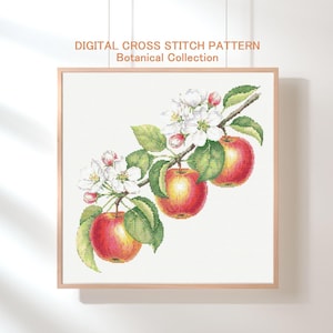 May include: A framed cross-stitch pattern featuring a botanical design of apples and blossoms. The artwork showcases three red and yellow apples on a branch with green leaves and white flowers. The text "DIGITAL CROSS STITCH PATTERN Botanical Collection" is at the top.