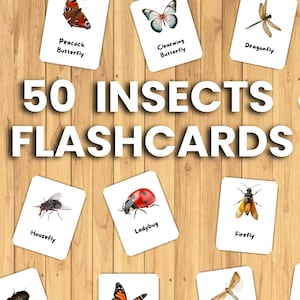 50 cartes insectes, cartes-éclair sur les espèces d'insectes pour enfants, téléchargement immédiat au format PDF