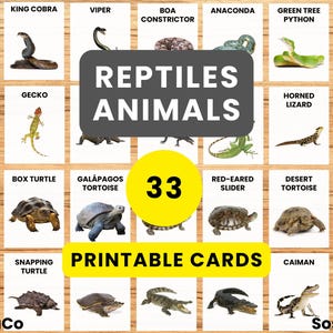 33 Reptile Flashcards, Montessori Animals, Activities PDF, Realistic Animal, Printable Learning Cards