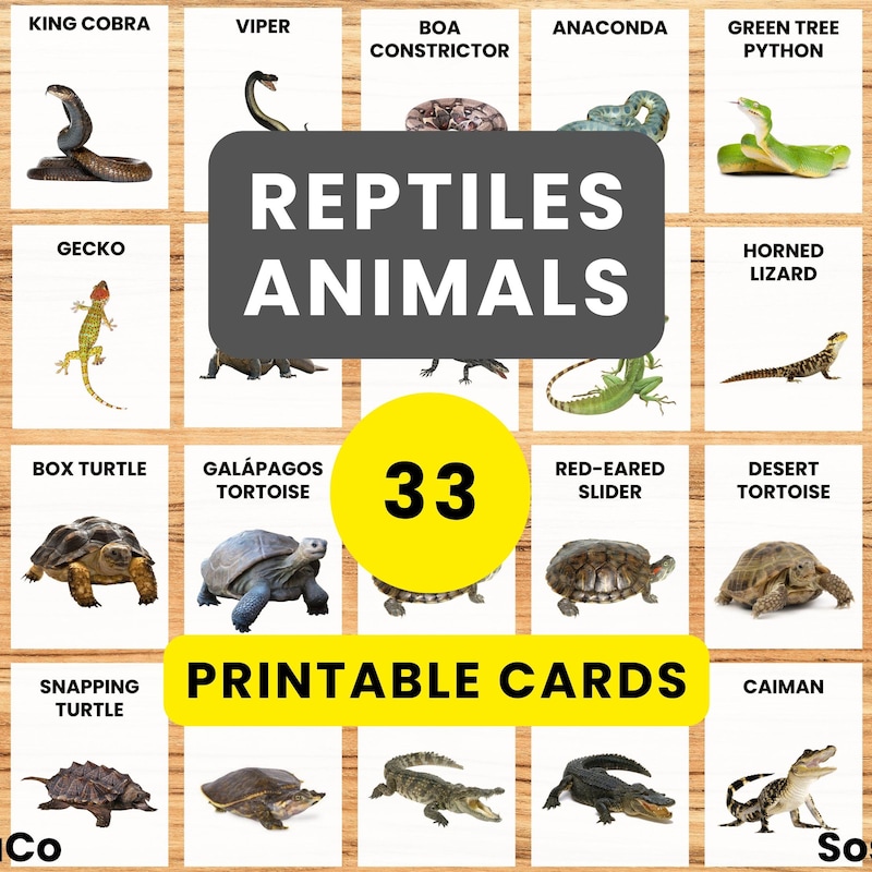 Montessori Reptile Printable - Etsy UK