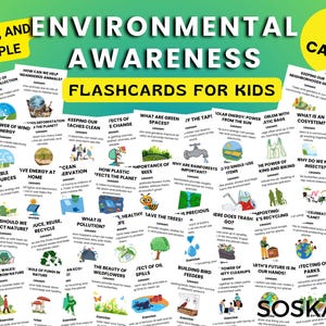 Flashcards de sensibilisation à l'environnement pour les enfants, jeu d'apprentissage sur la durabilité de l'éducation pour des cartes imprimables écologiques et éducatives