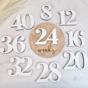 Pregnancy Milestone Cards | Baby Announcement | Pregnancy Weeks | 3D | Pregnancy Tracker | Pregnancy Announcement | Disks | Hello World