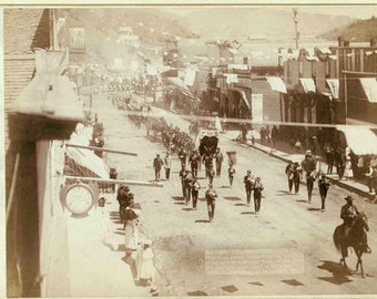 8x 10 Photo Very Nice Beautiful Fine Art Print Deadwood Mature